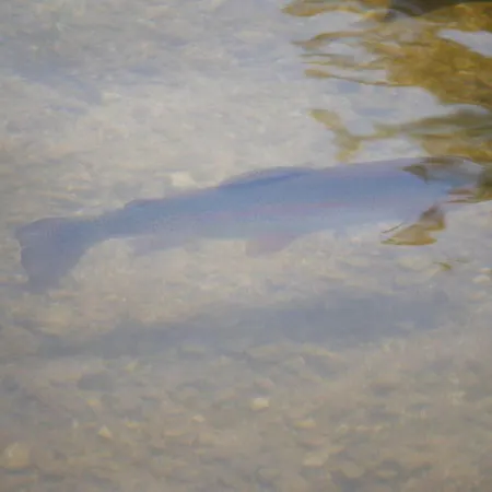 Lumineux 2-4 Pers. Avec Terrasse Et Restaurant Sur Place - Fr-1-585-92 شقة *