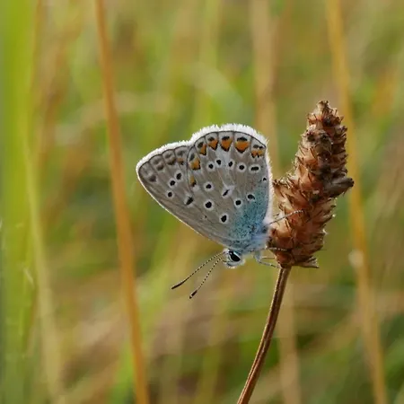 Lumineux 2-4 Pers. Avec Terrasse Et Restaurant Sur Place - Fr-1-585-92 شقة Lacroix-sur-Meuse