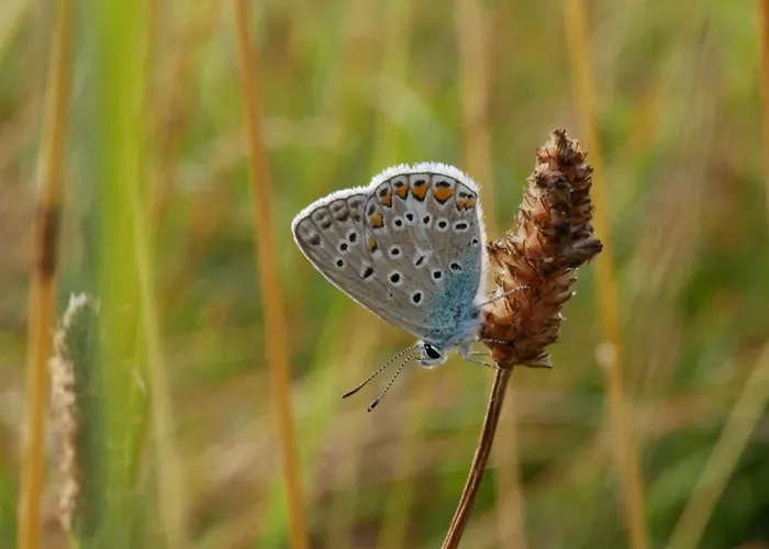 Lumineux 2-4 Pers. Avec Terrasse Et Restaurant Sur Place - Fr-1-585-92 Апартаменты Lacroix-sur-Meuse